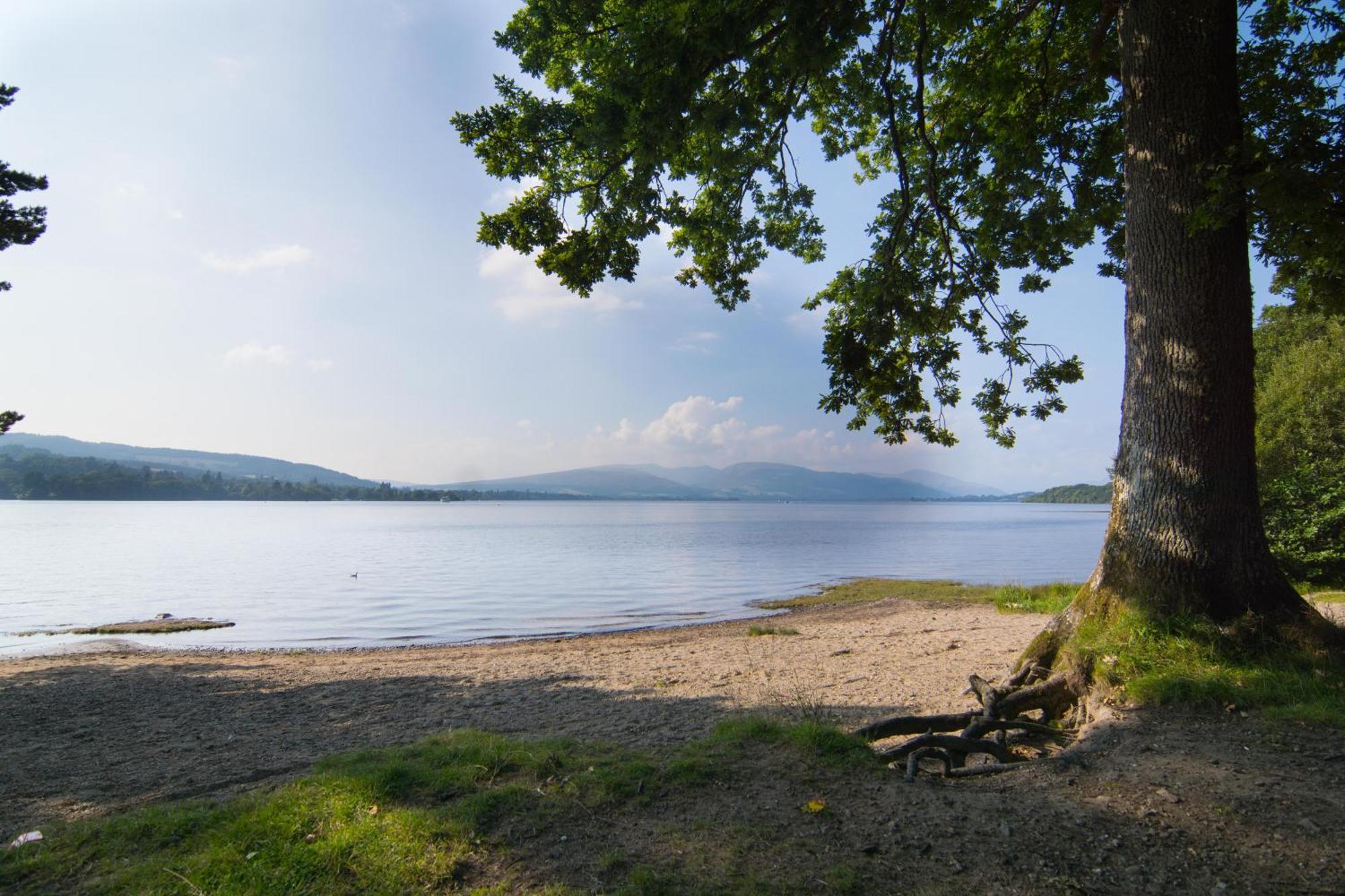 Norwood Guesthouse-Loch Lomond Balloch Room photo